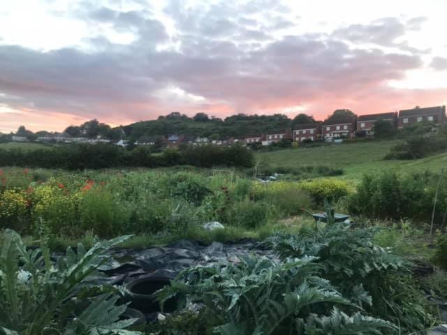 Healing Waters Sanctuary For Exclusive Private Hire And Self Catering Board, Vegetarian, Alcohol & Wifi Free Retreat In Glastonbury Bed and Breakfast Esterno foto