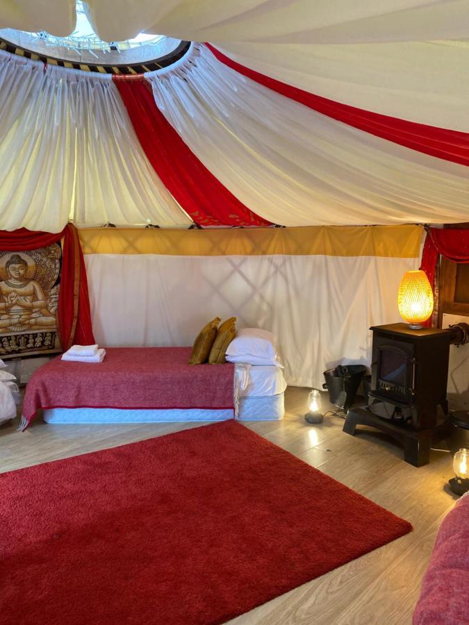 Healing Waters Sanctuary For Exclusive Private Hire And Self Catering Board, Vegetarian, Alcohol & Wifi Free Retreat In Glastonbury Bed and Breakfast Esterno foto